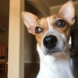 Meet your Posher, Aaron